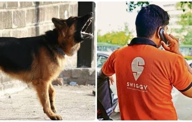 Swiggy Agent