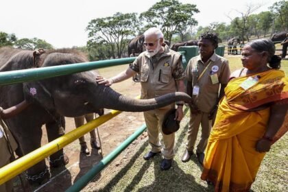 The Elephant Whisperers