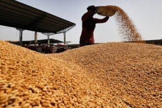 India's wheat export ban