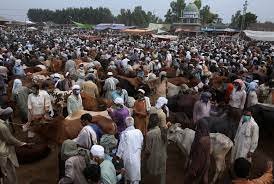 Eid ul-Adha Celebrations