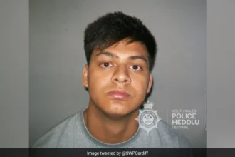 Indian-origin student sentenced
