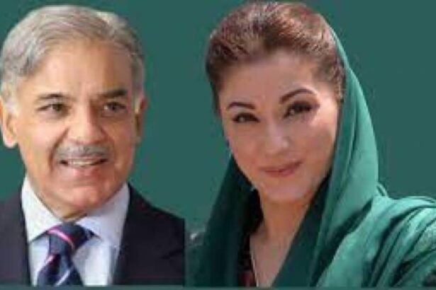 Shehbaz Sharif Becomes President, Maryam Nawaz as Senior VP