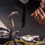 Snake Charmers Posing as Priests Arrested for Robbing Commuters in Gurugram