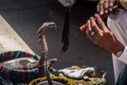 Snake Charmers Posing as Priests Arrested for Robbing Commuters in Gurugram