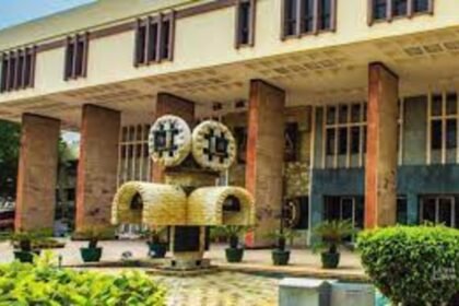 Delhi high court frees accused of Delhi Riots