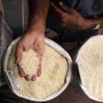 India Implements 20% Export Duty on Parboiled Rice