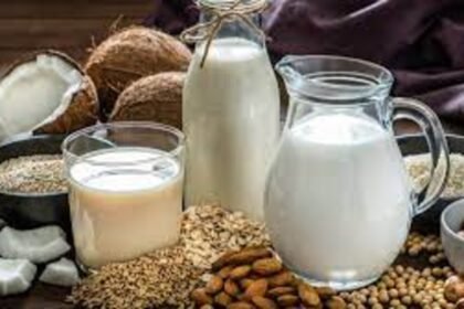Nutritional Differences Between Plant-Based Milks and Cow's Milk