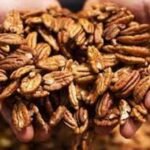 Pecans: The Fall Superfood with Year-Round Health Benefits