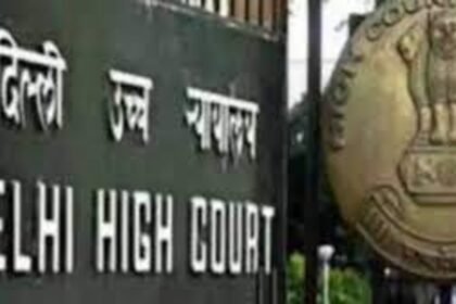 Delhi High Court Grants Divorce Citing Financial Instability as Mental Cruelty