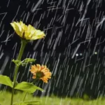 Safe monsoon travel destinations in India