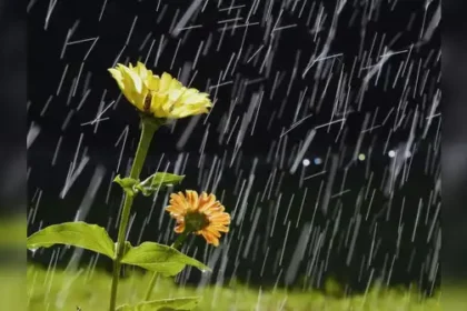 Safe monsoon travel destinations in India