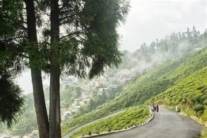 Misty hills, cottages, and pine forests in offbeat hill stations near Kolkata