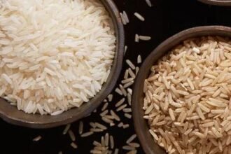 brown rice vs white