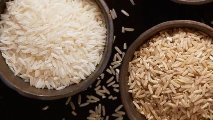brown rice vs white