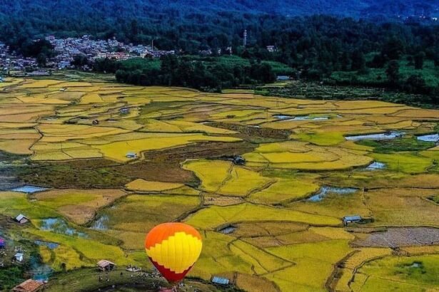 Ziro Valley festival Arunachal