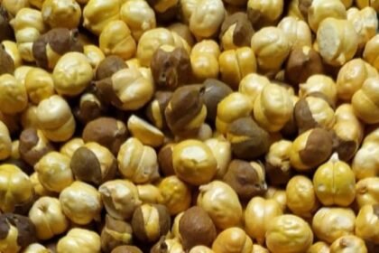 low calorie Indian snacks