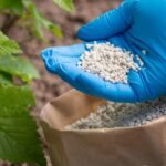 AVFCCL fertilizer project Assam