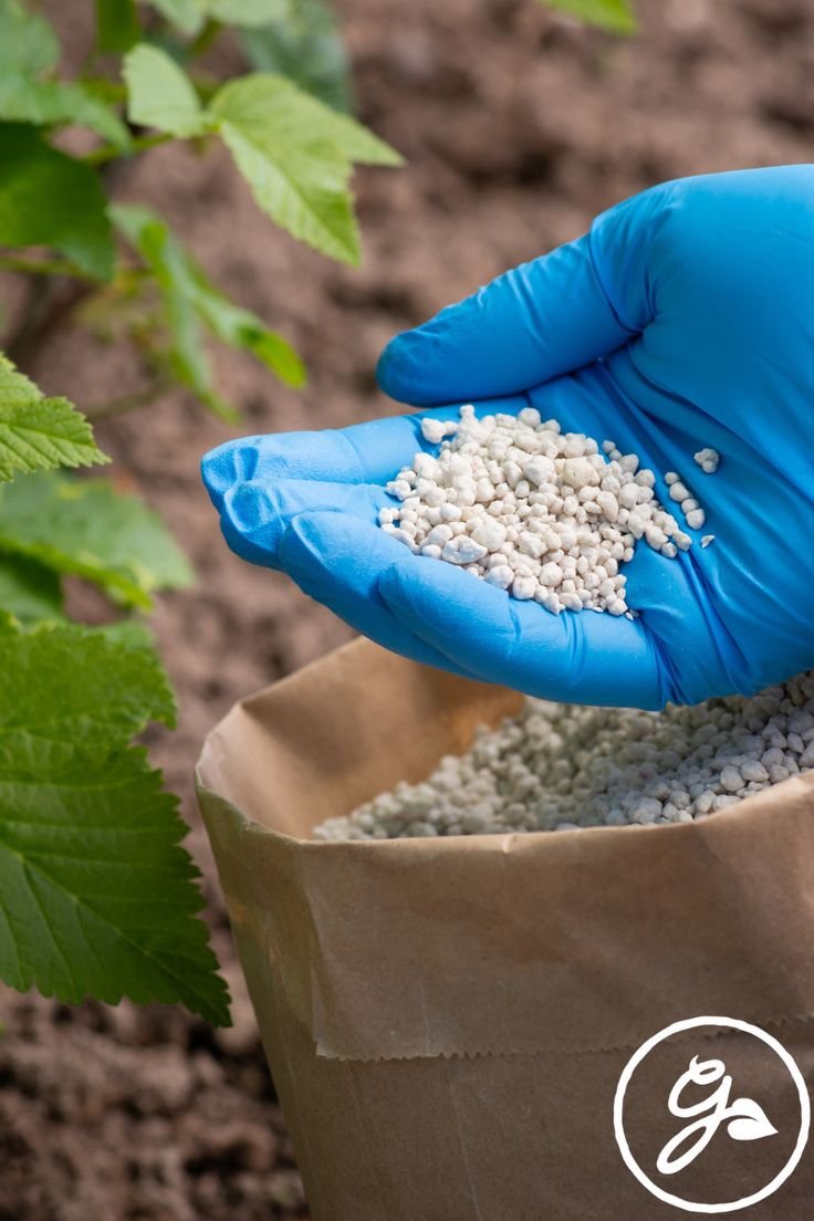 AVFCCL fertilizer project Assam