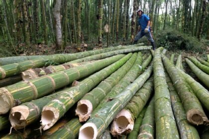 Officials and artisans at the inauguration of the bamboo processing cluster in Ri-Bhoi, Meghalaya