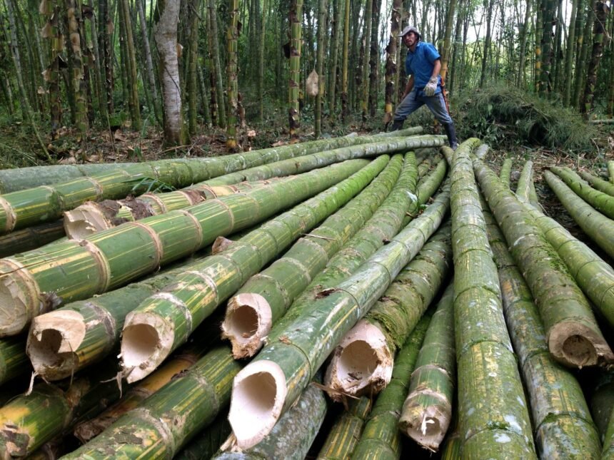 Officials and artisans at the inauguration of the bamboo processing cluster in Ri-Bhoi, Meghalaya