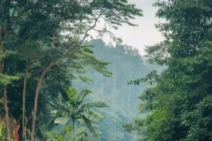 Hidden Gems of Assam