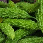 Glass of fresh karela juice with sliced bitter gourds