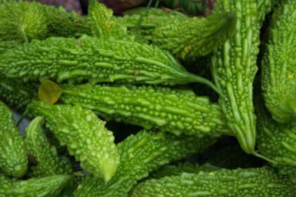 Glass of fresh karela juice with sliced bitter gourds