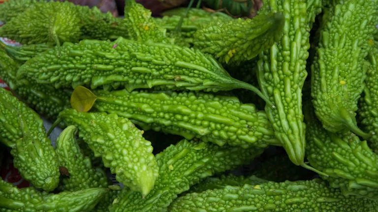 Glass of fresh karela juice with sliced bitter gourds