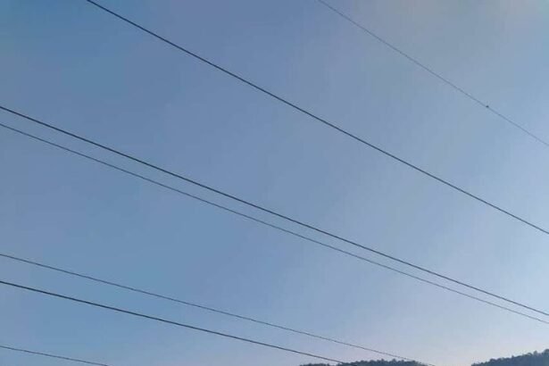 Assam Down Town University online programs