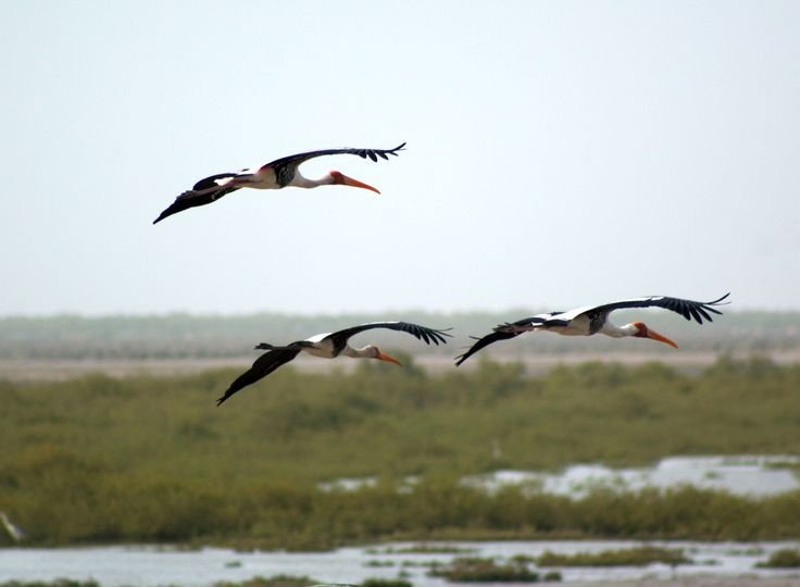 Chorai Chung sanctuary
