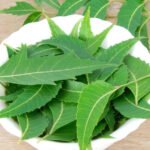 5 amazing benefits of neem for clear, glowing skin and more