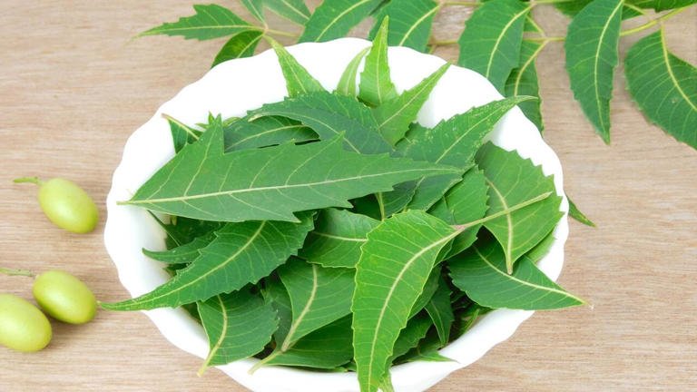 5 amazing benefits of neem for clear, glowing skin and more