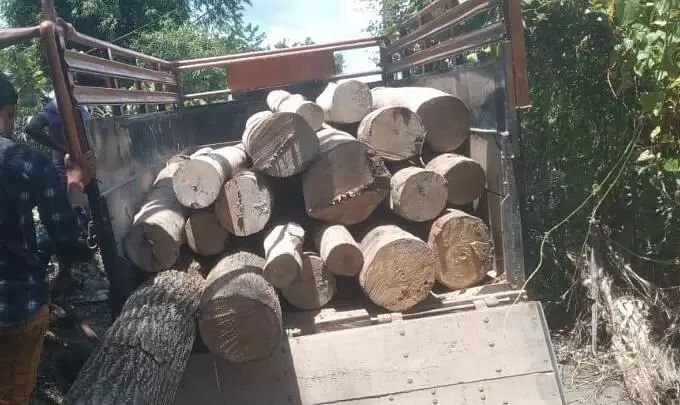 illegal sawmill bust in Dhemaji