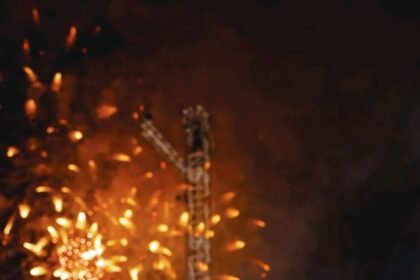 Lando Norris World Champion