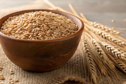 Which City Is Known as the Wheat Granary of India?
