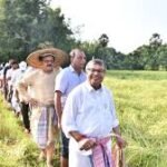 Tripura Food Grain Production rises with youth-led innovation in agriculture