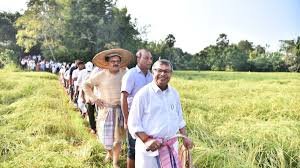 Tripura Food Grain Production rises with youth-led innovation in agriculture