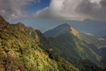 Forest landscape protected as a community conserved area in Nagaland