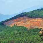 Forest area in Kamjong district Manipur where two abducted men were found dead