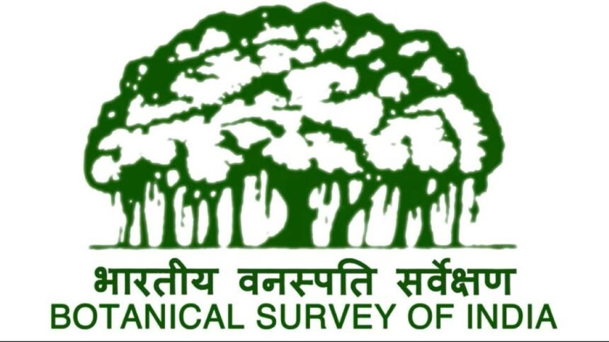 Botanical Survey of India recruitment opportunity in Sikkim