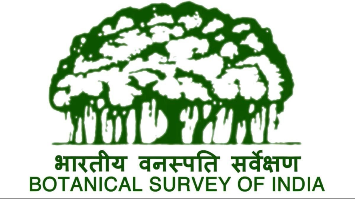 Botanical Survey of India recruitment opportunity in Sikkim