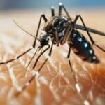 Health workers supporting Arunachal malaria elimination mission under CM Pema Khandu