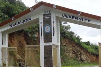 Nagaland University study flags rapid environmental degradation in Kohima, calls for urgent policy action