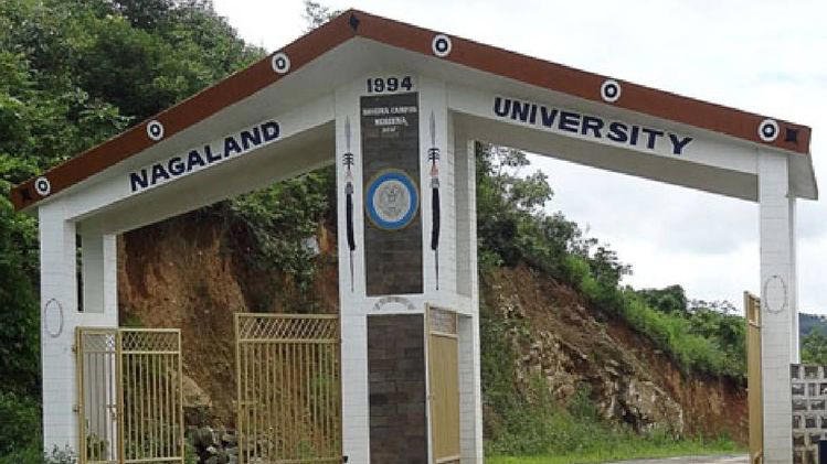 Nagaland University study flags rapid environmental degradation in Kohima, calls for urgent policy action