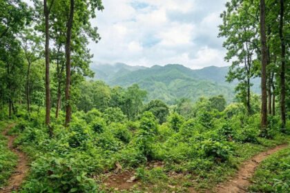 Meghalaya brings 20.89 hectares under community reserve in Garo Hills