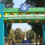Assam Veterinary and Fishery University adopts NEET-based admission for BVSc & BFSc courses from 2026–27