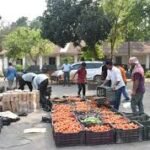 Assam Rifles drug seizure of codeine cough syrup near Agartala