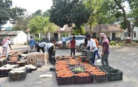 Assam Rifles drug seizure of codeine cough syrup near Agartala