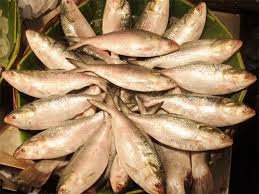 Tripura subsidised fish scheme for Bengali New Year celebrations