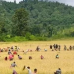 Security personnel monitoring tense conditions in Lapangap amid Assam-Meghalaya border friction